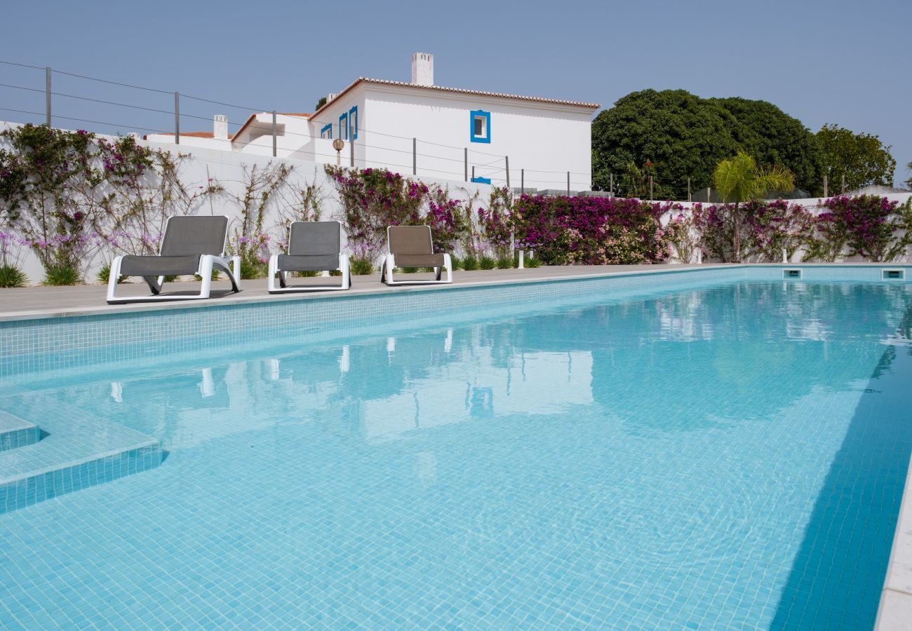 Swimming pool and sun loungers