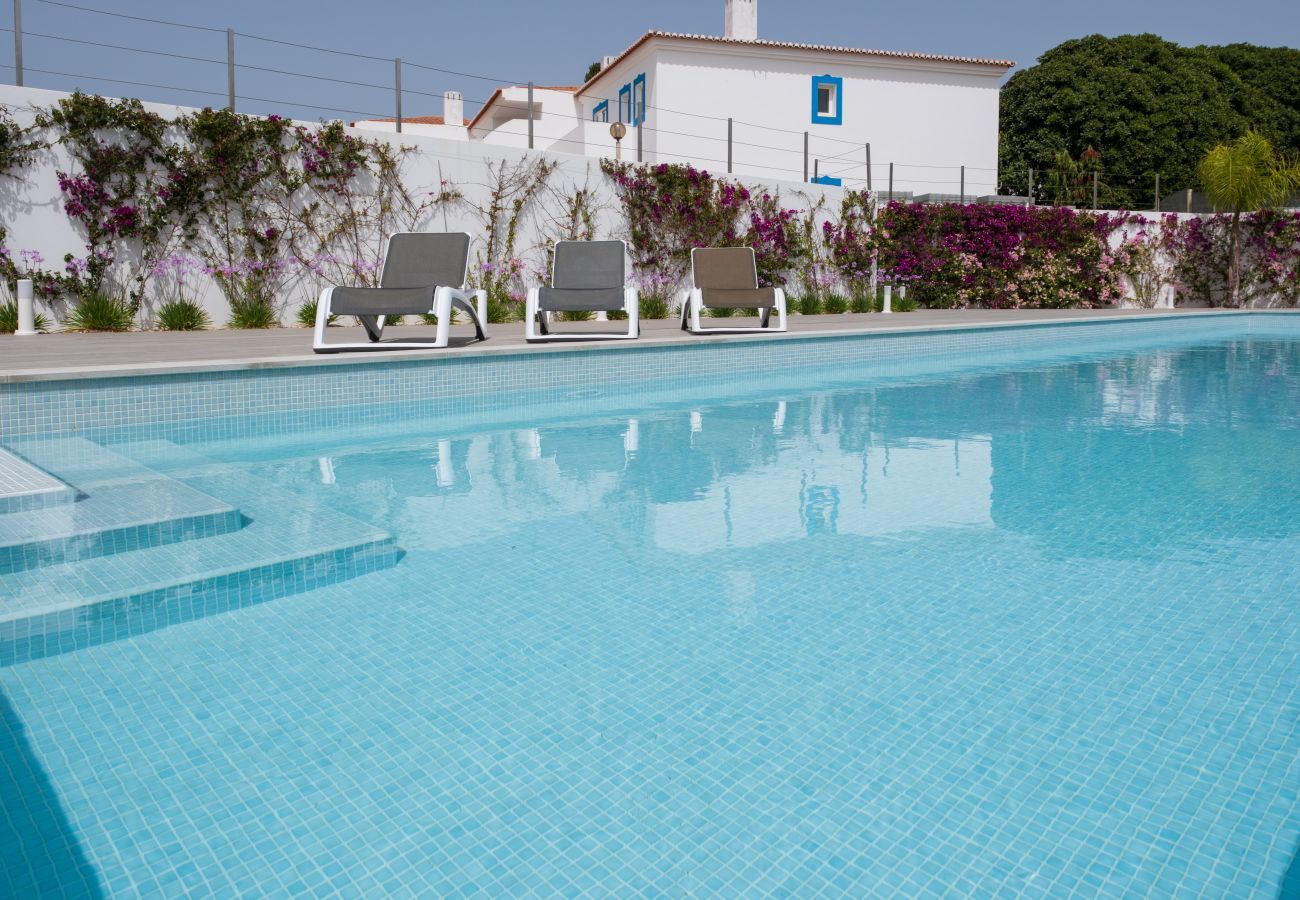 Swimming pool and sun loungers