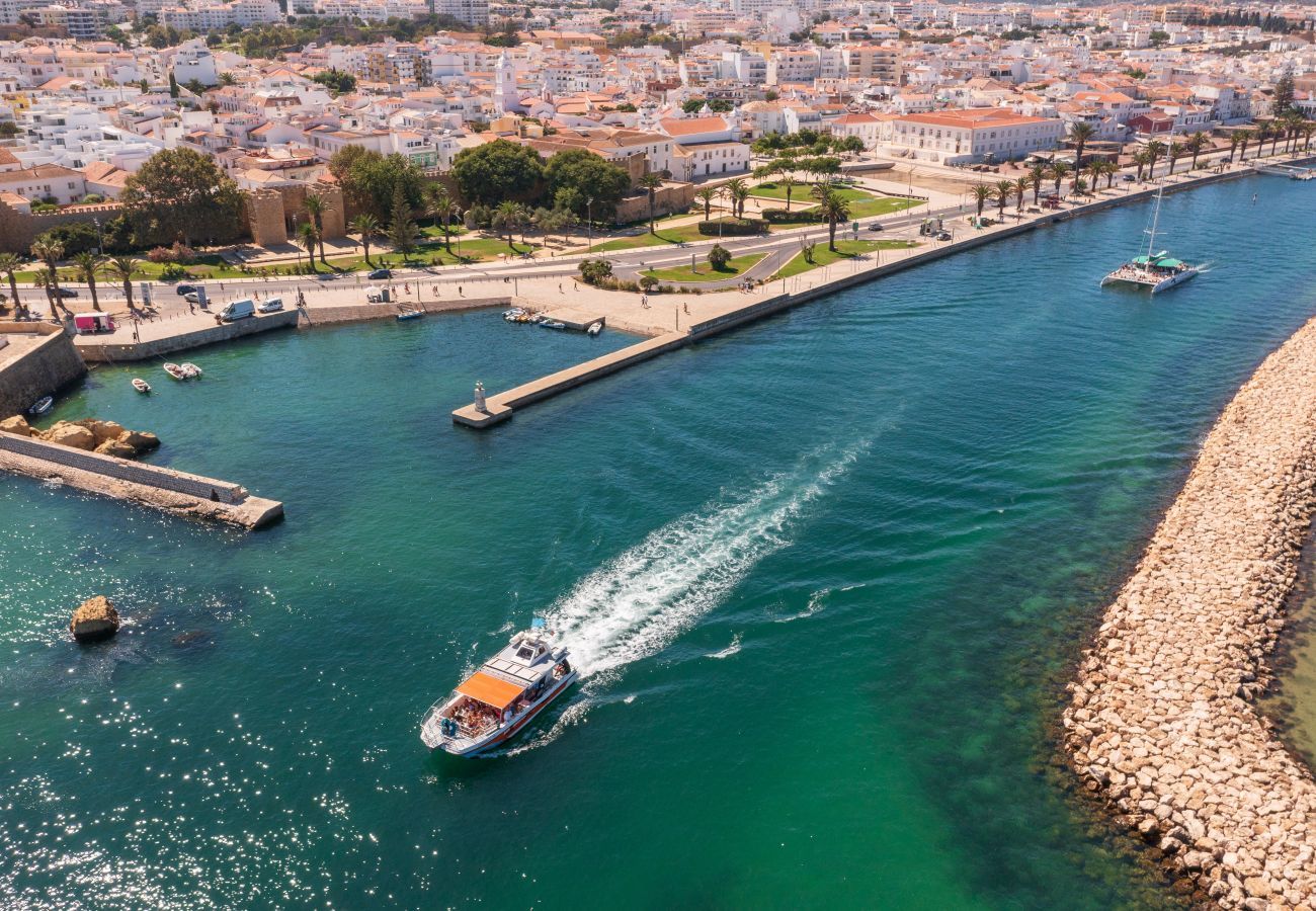 View of the Avenida and boats in the river