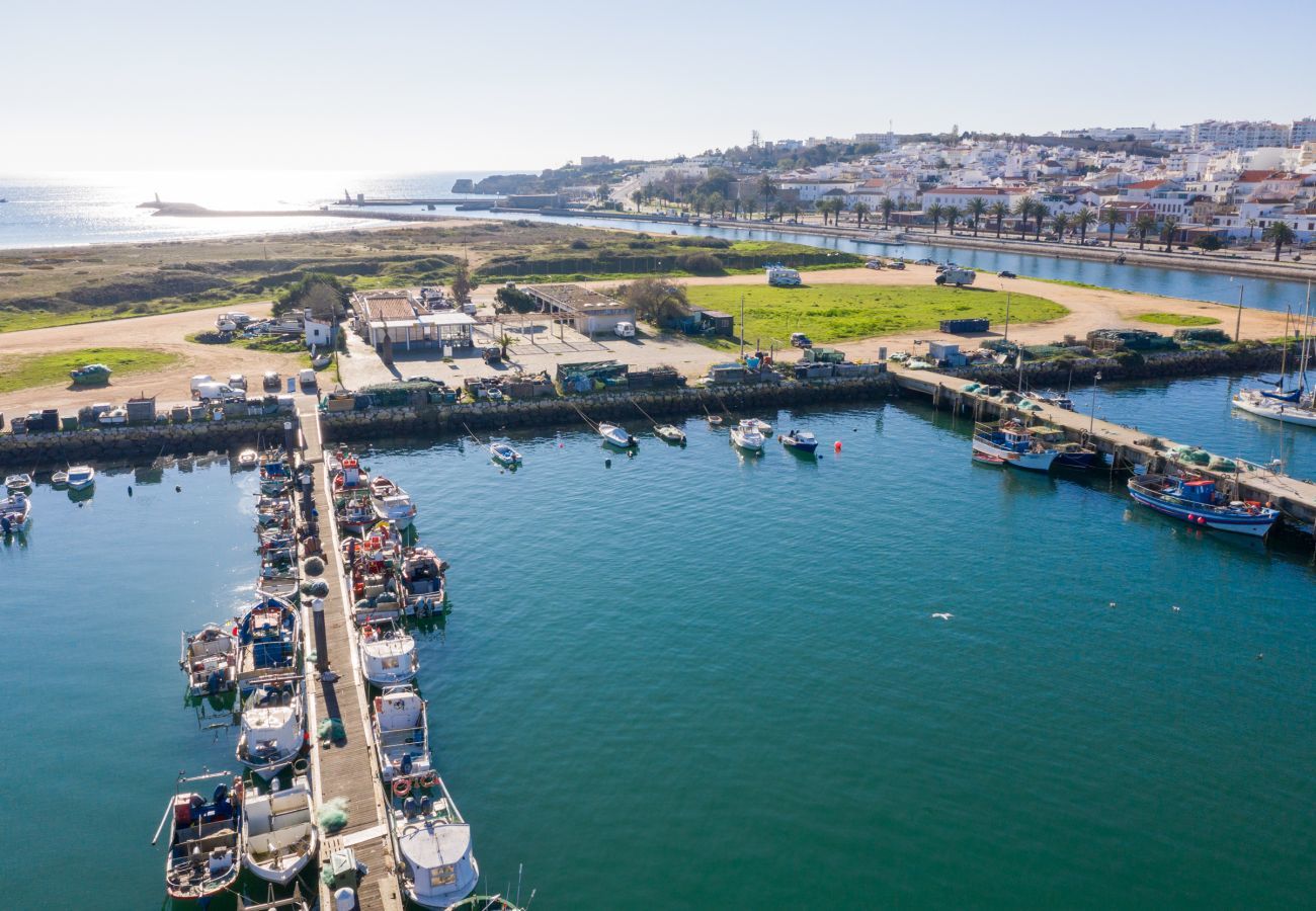 Aerial view of the Harbour