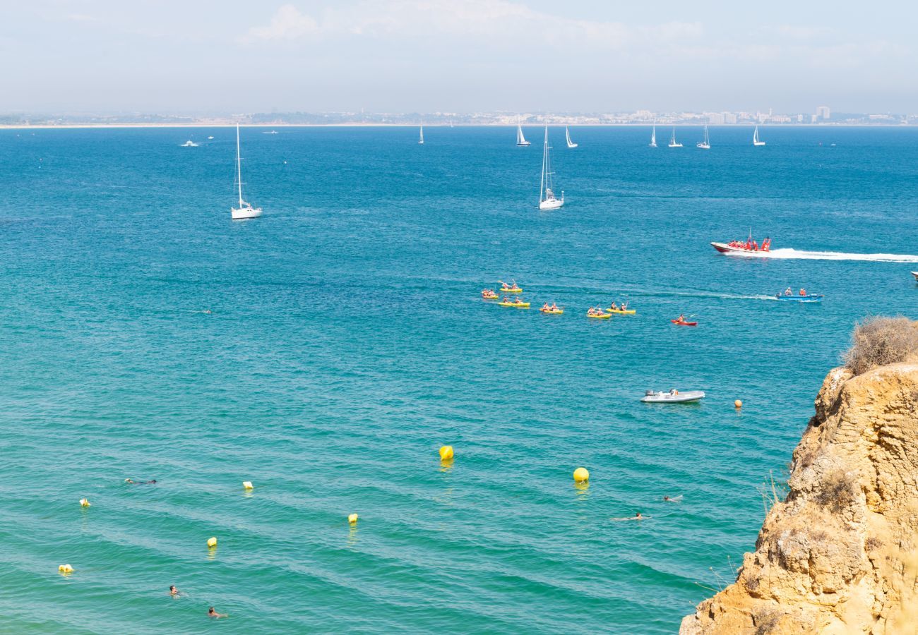 Boats in the sea